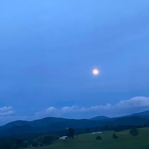 Meet your Posher, Marinna